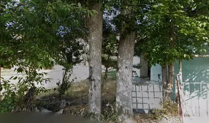 Sedda Bayan Kuaförü