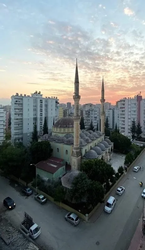 Sahibinin seçtikleri
