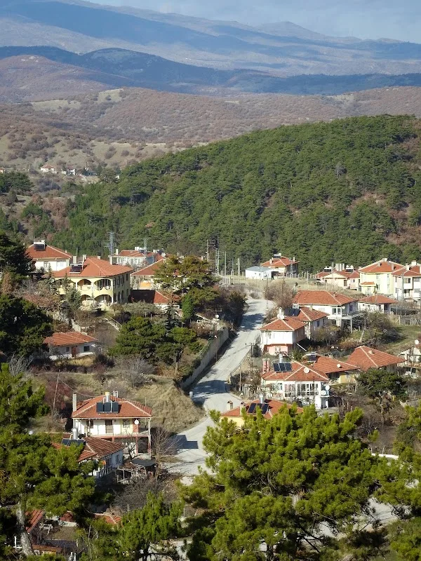 Meşeli