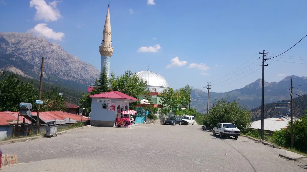 Tümü