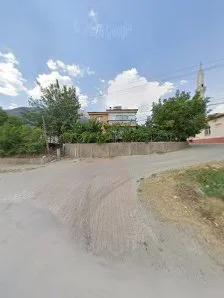 Tümü