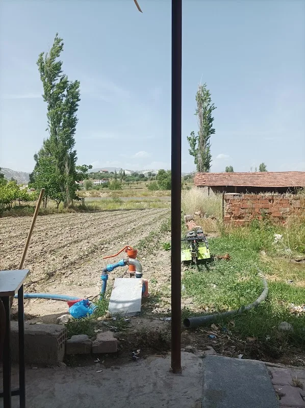 Köylüm kıraathanesi