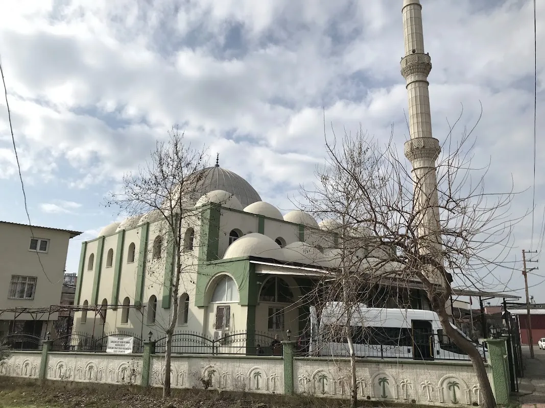 Tümü