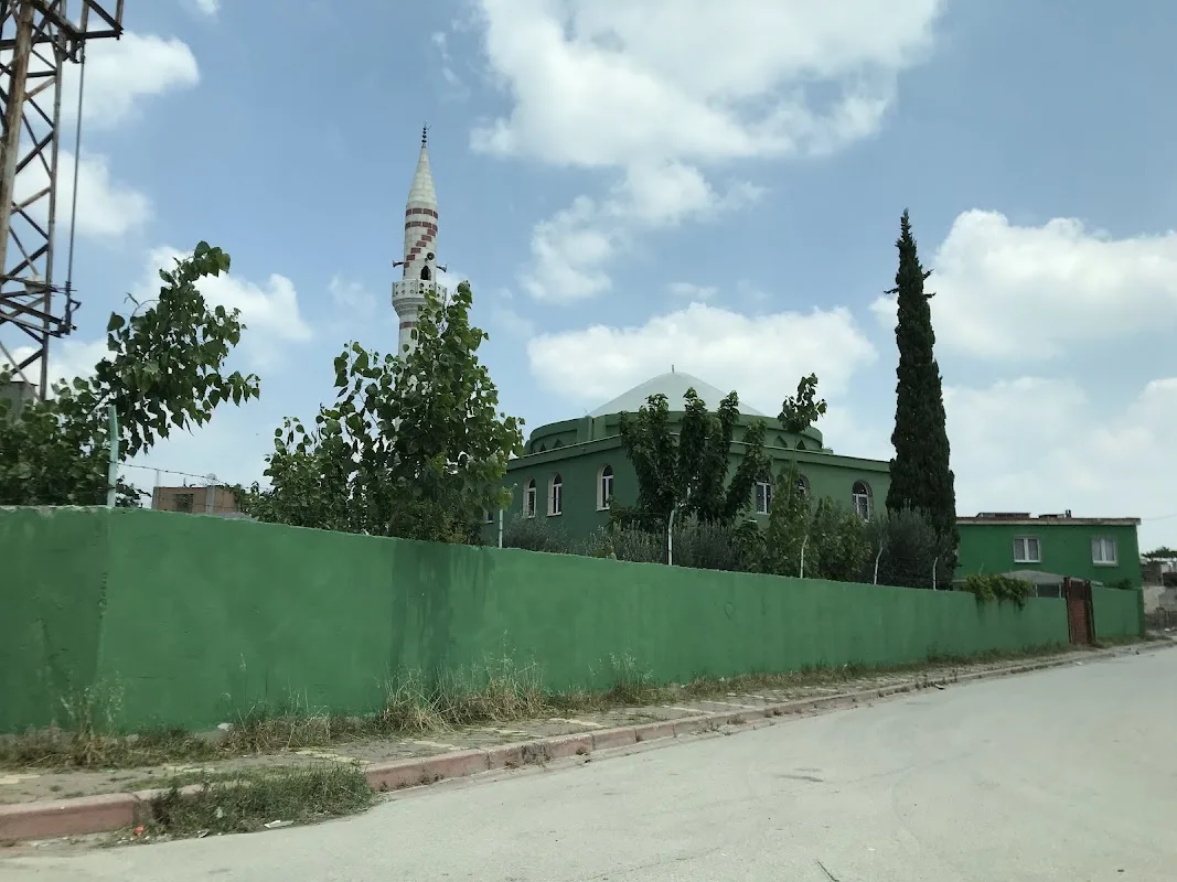 Tümü