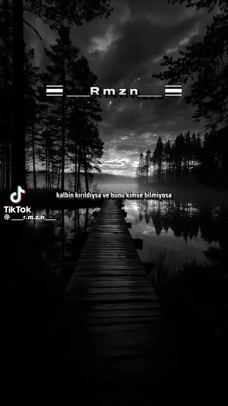 Videolar