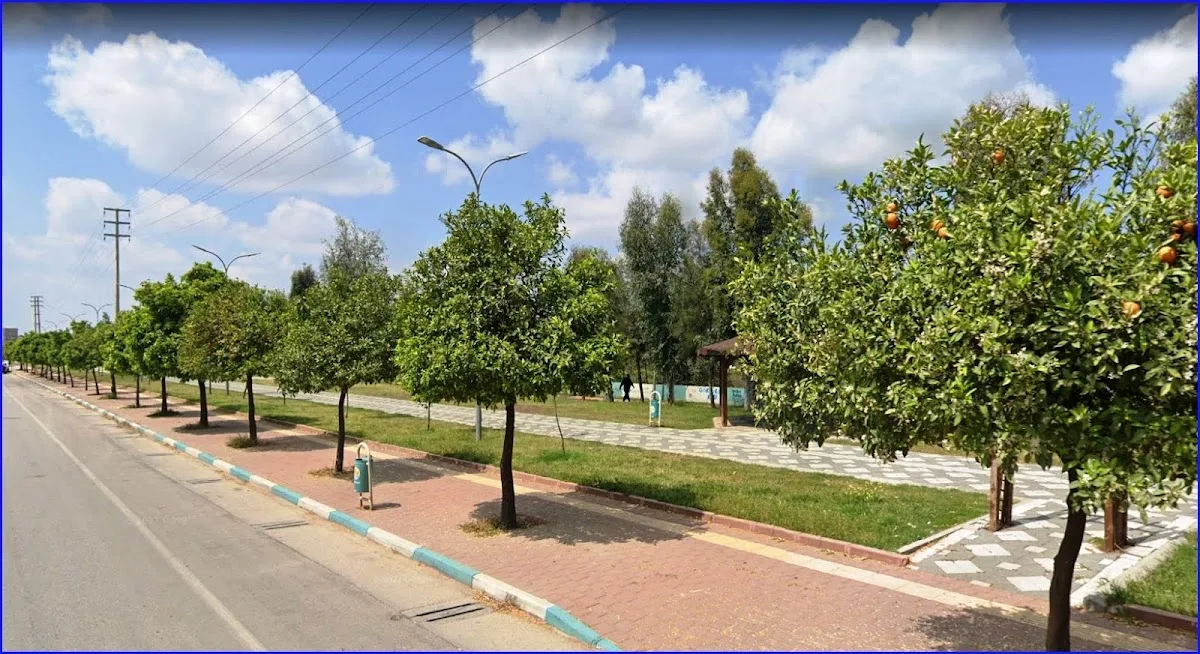 Yürüyüş Parkuru
