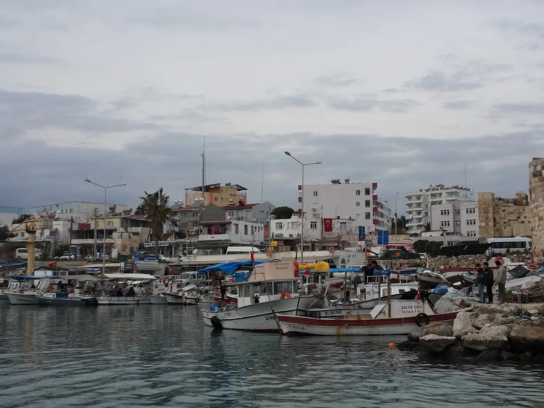 Yumurtalık lıyızbiz