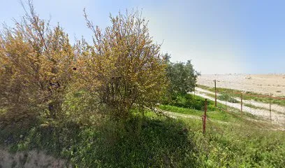 Söğütlük Tepesi