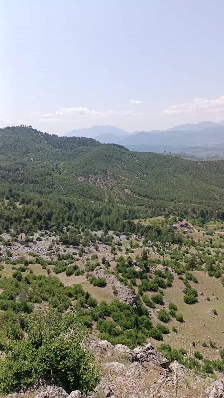 Kosurga Yaylası