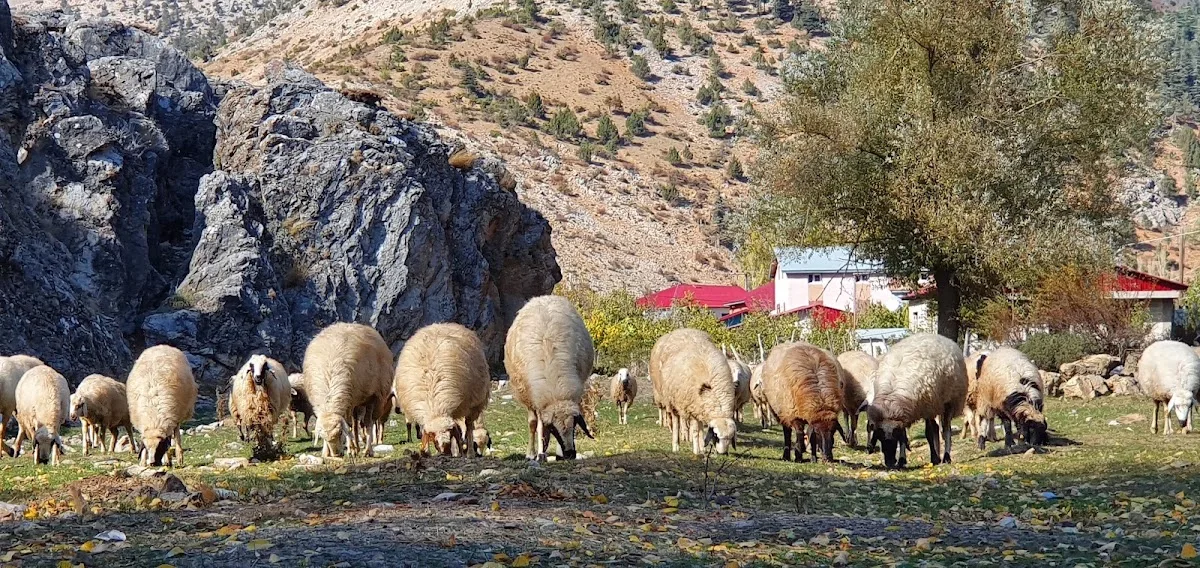 Şahmuratlı