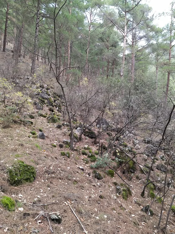 Sülemişli
