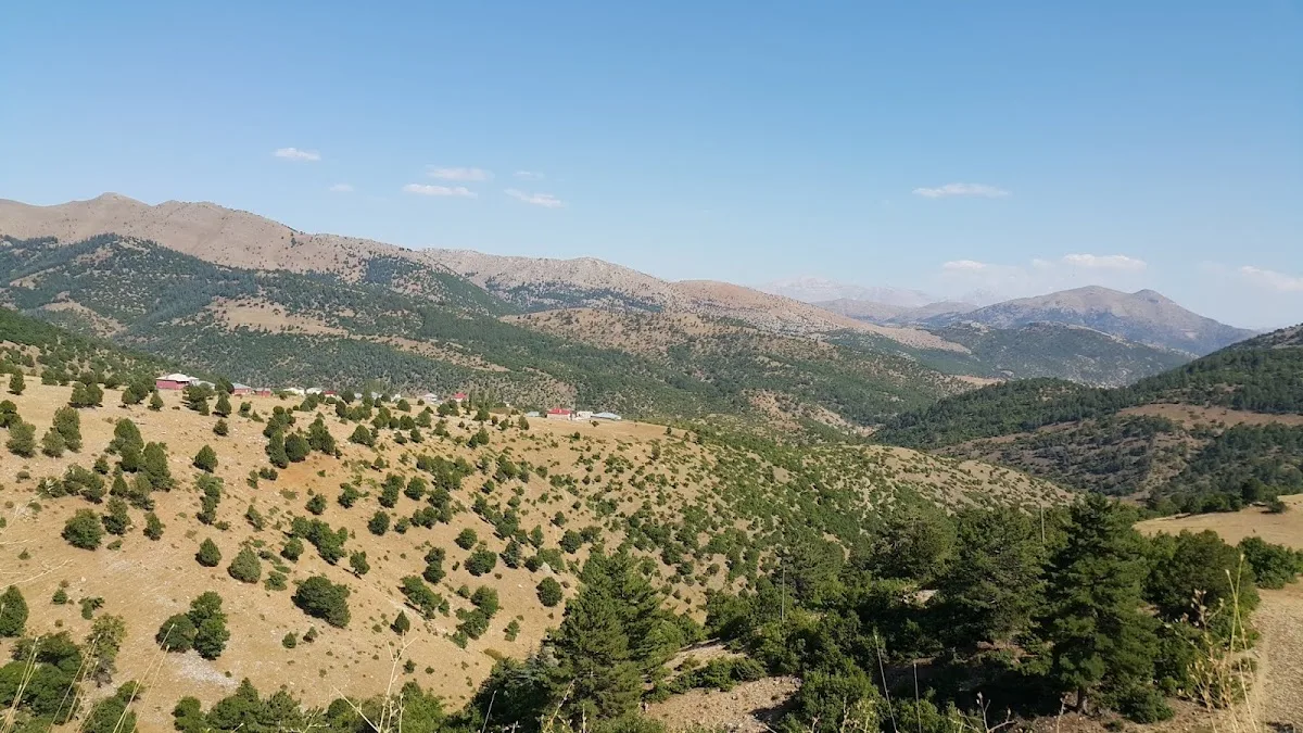 Tufanbeyli İlçe Müftülüğü