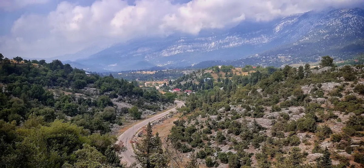 Tokmanaklı