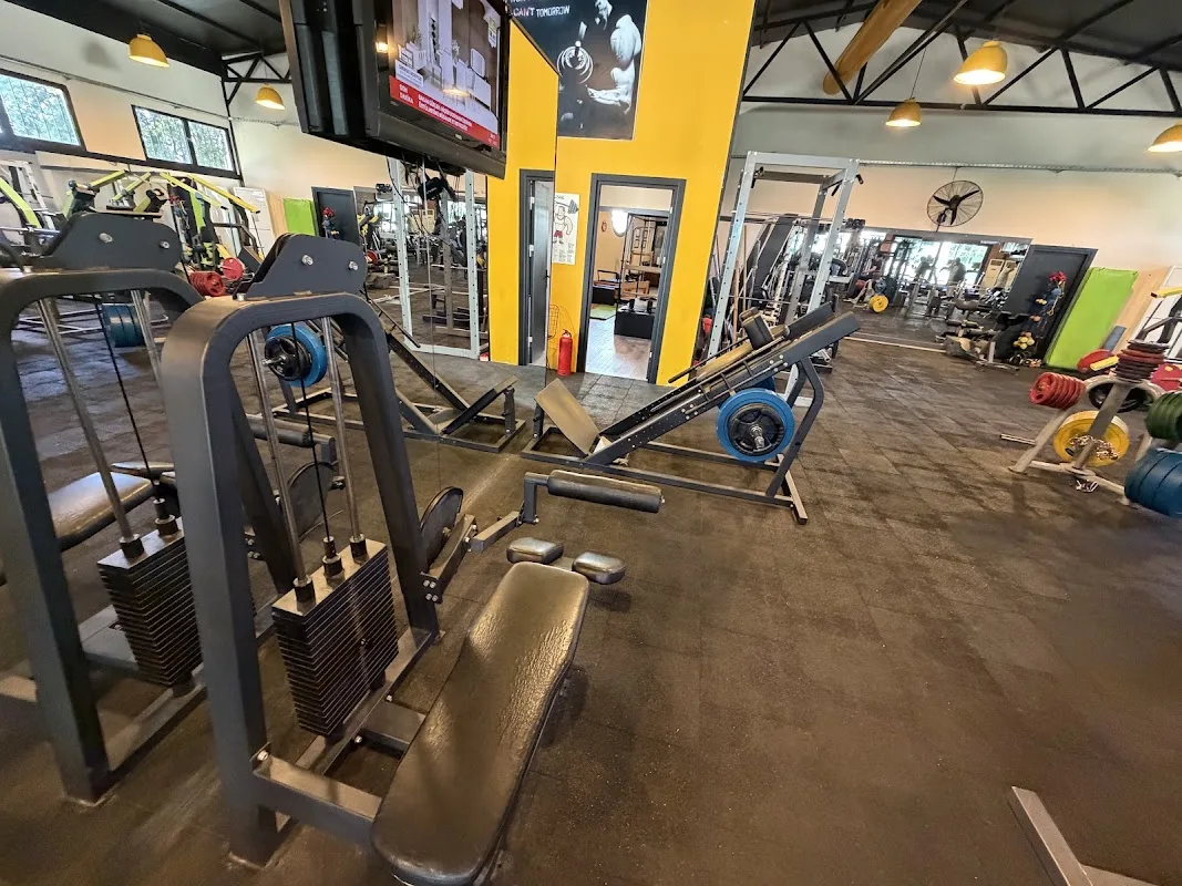 Fit Club