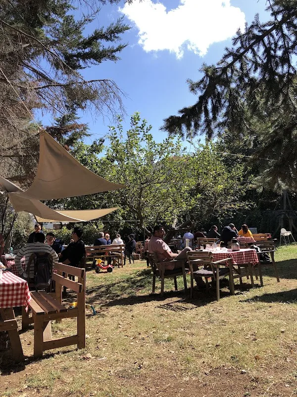 Nezihe Hanım'ın Bahçesi