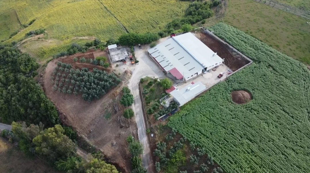 Korkmazlar Group Tarım ve Hayvancılık