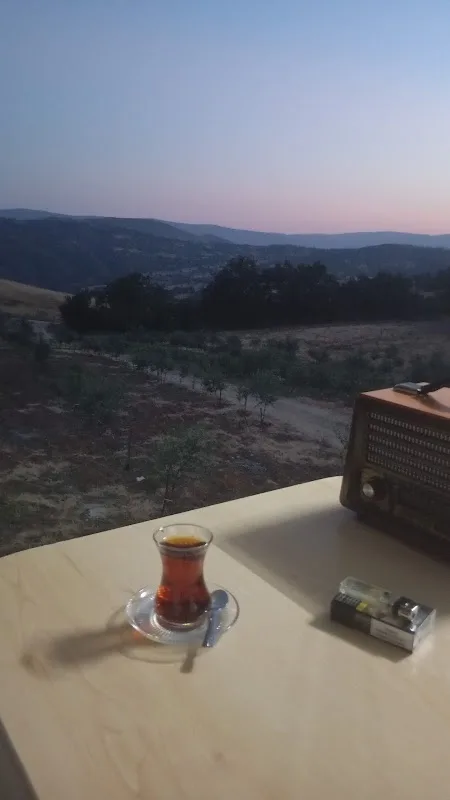 Zeytinli Bahçe Soğukkuyu