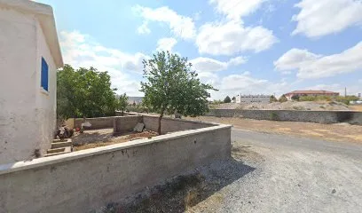 Gül şehir