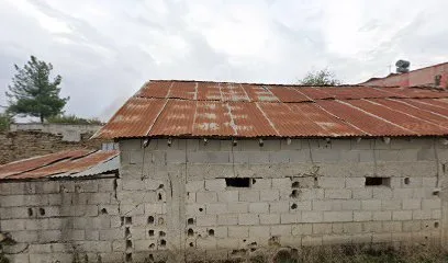 Mama Galya