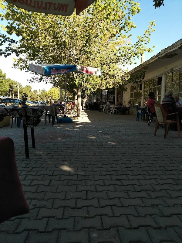 Çeko'nun Kahvesi