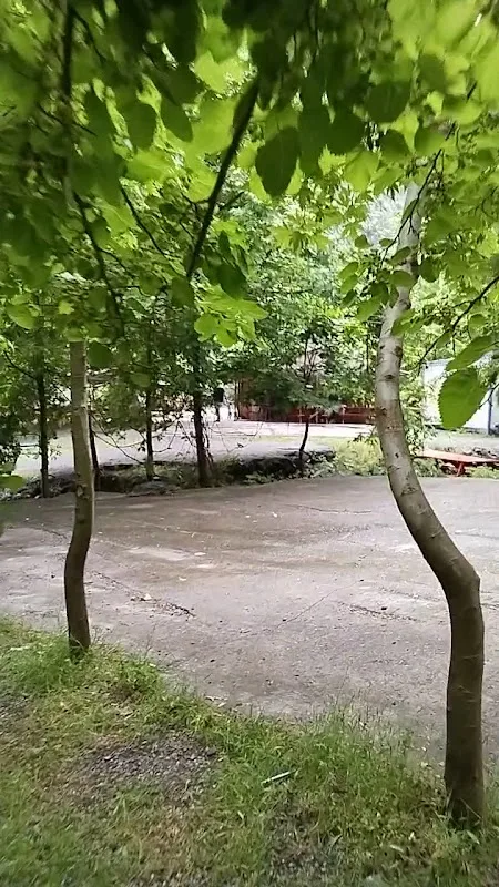 Çınar6restorant