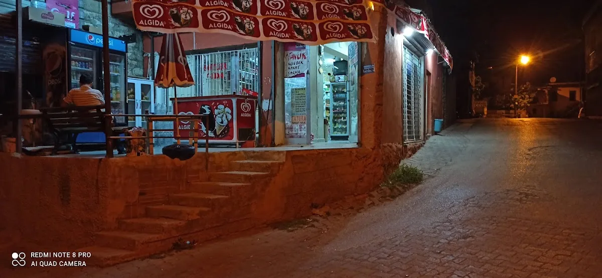 Söyler gıda