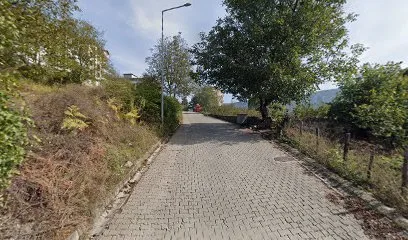 ÇINARALTİ CAFE