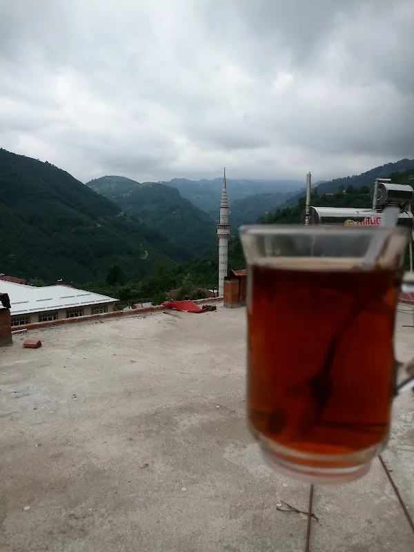 Hacı Davut