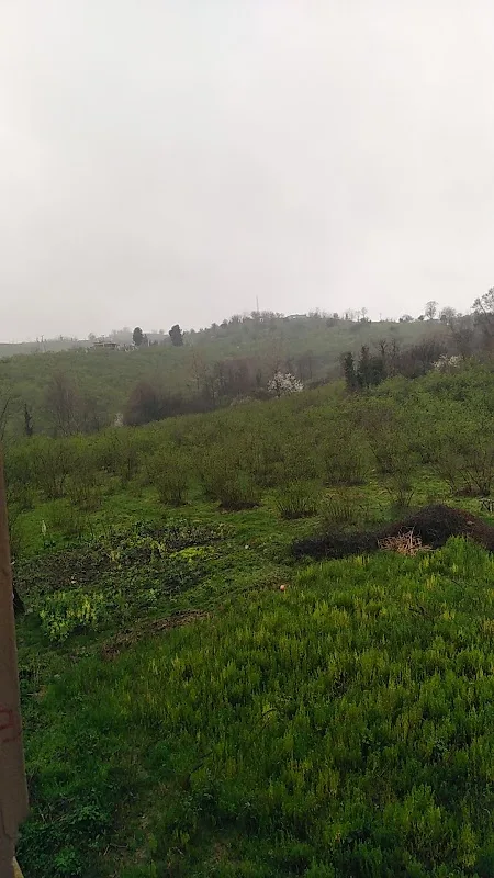 arka bahçe kafe