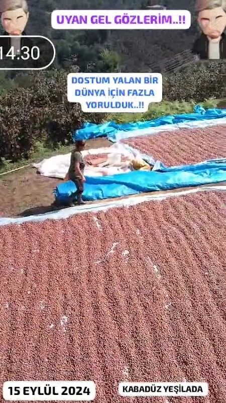 Kabadüz Ordu