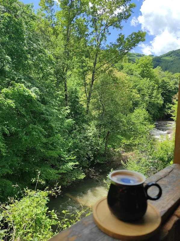Tepealan Aile Çay Bahçesi