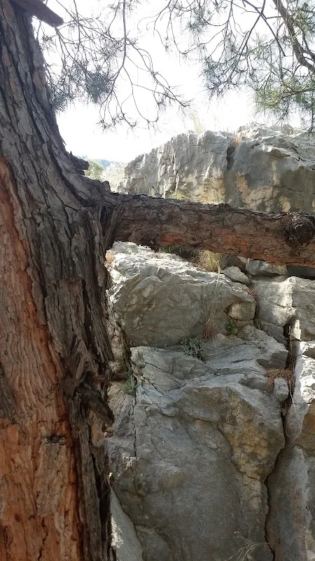 Hacıkırı