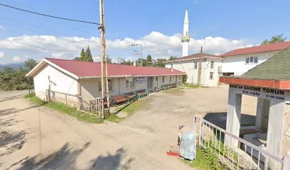 T.C. Ordu Ili Ulubey Ilçesi Karakoca Mahallesi Kültür Merkezi