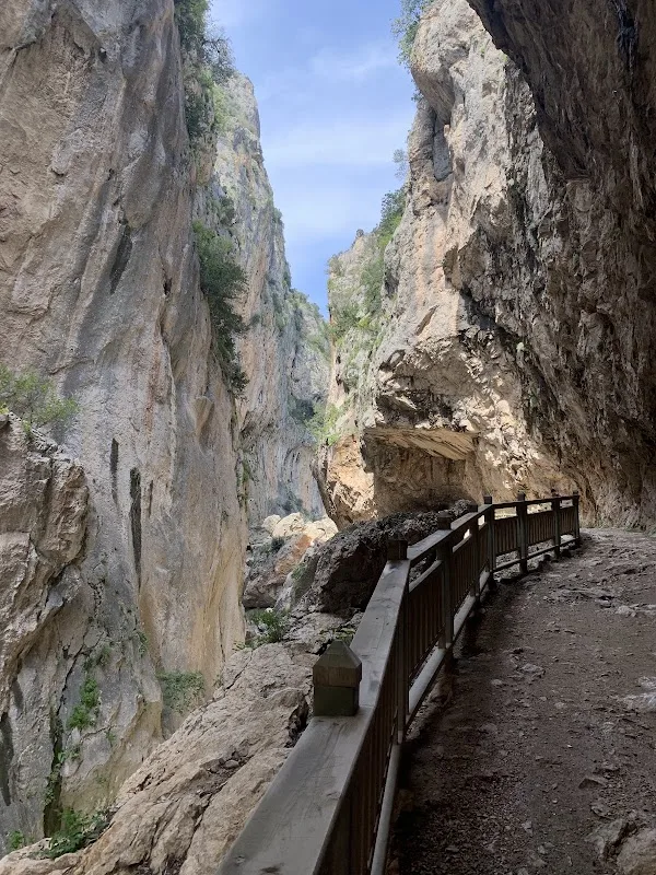 Gapız
