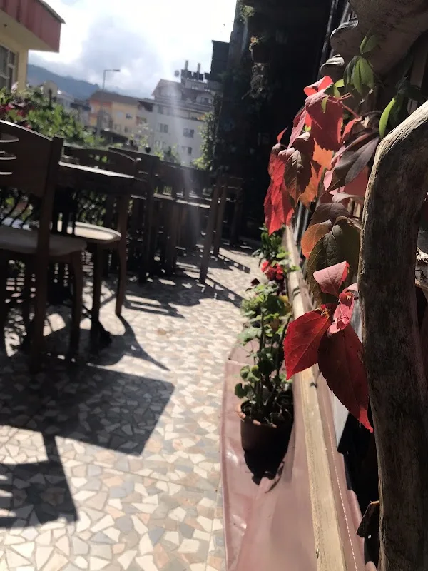 Anka Kitap-kafe