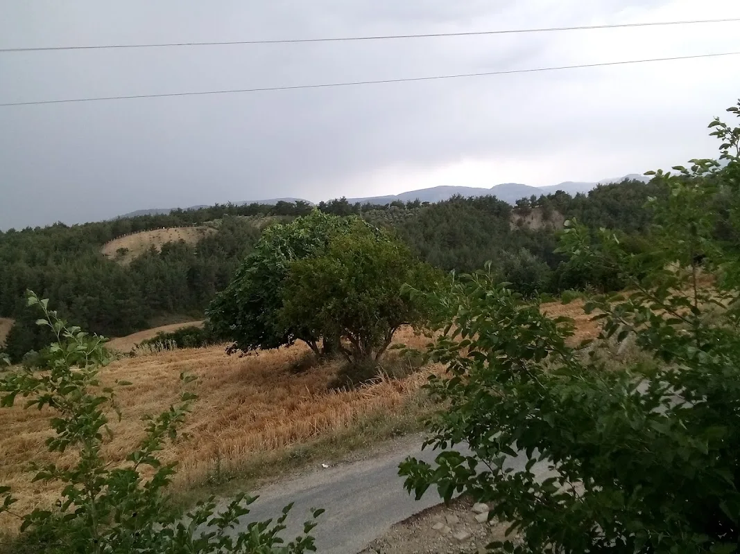 Maraşlı