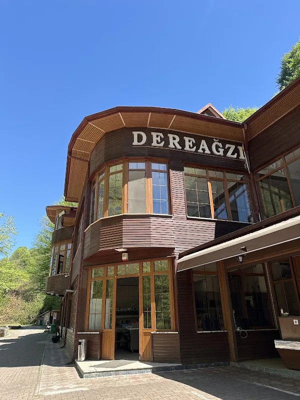 Dereağzı Alabalık Tesisleri