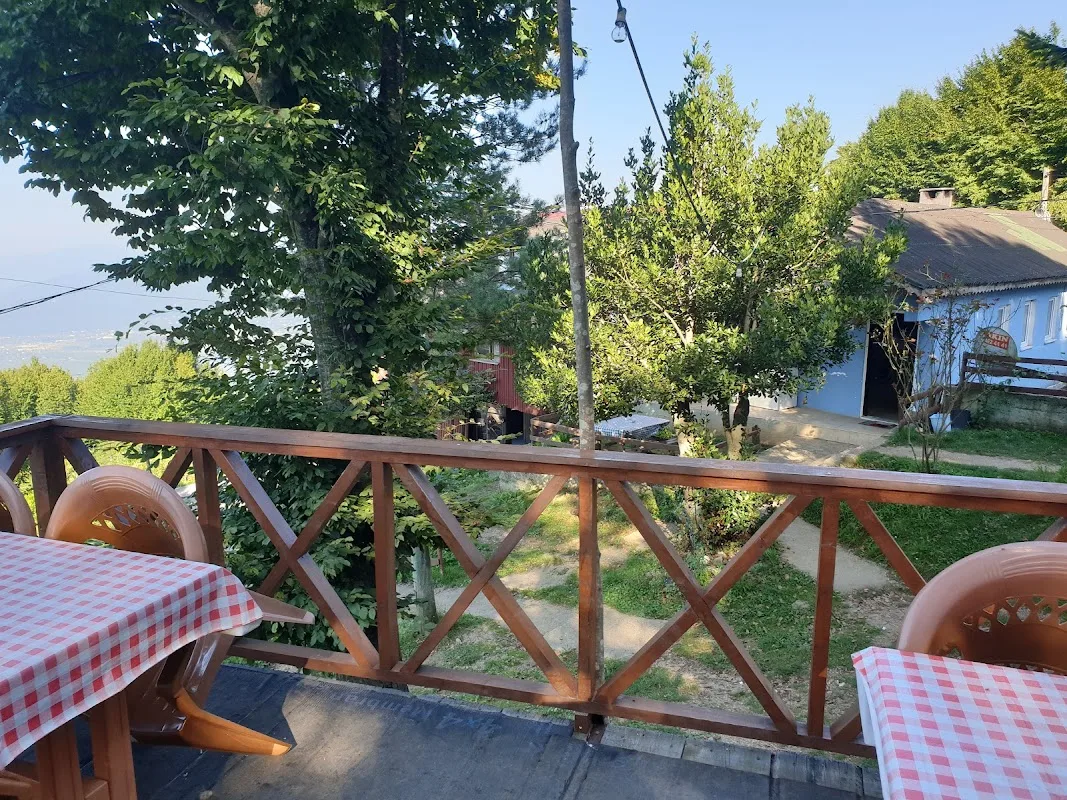 Zirve Alabalık