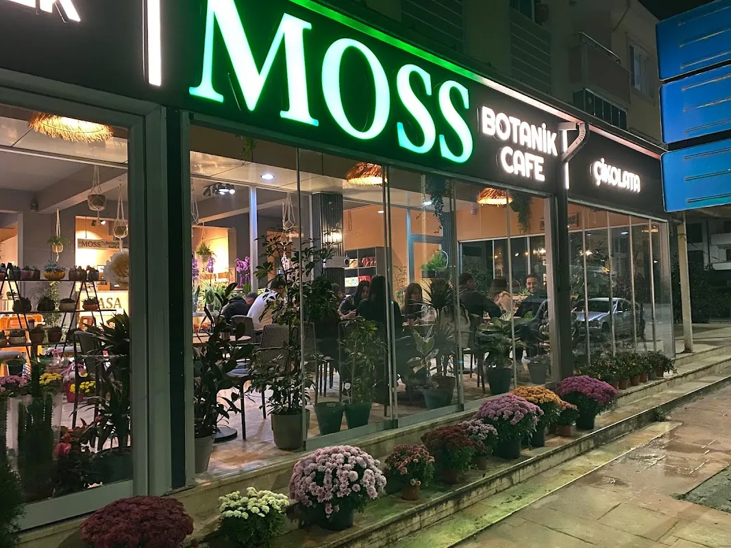 Moss Botanik Cafe