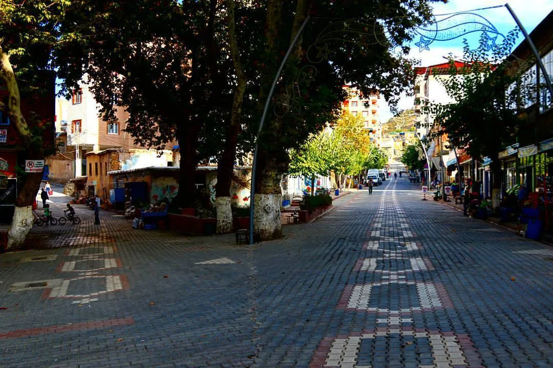 Pervari Çınar Market