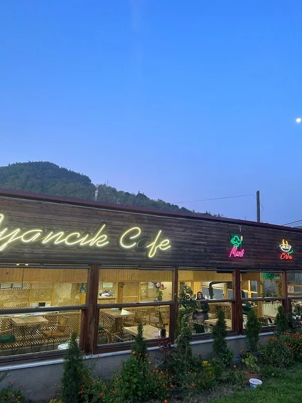NO 57 AYANCIK CAFE & RESTORAN