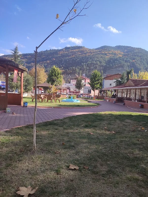 Dikmen Mesire Alanı