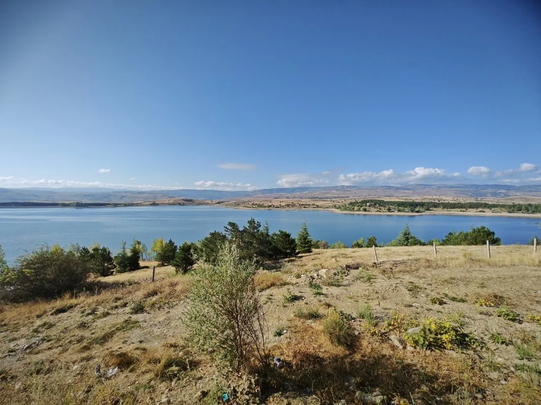 Golova sivas