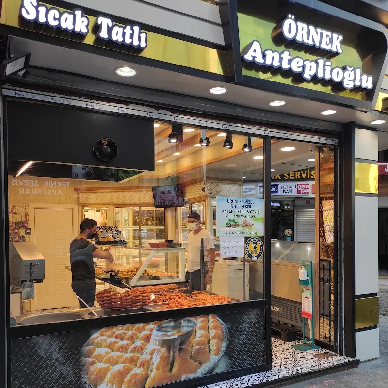 Örnek anteplioğlu