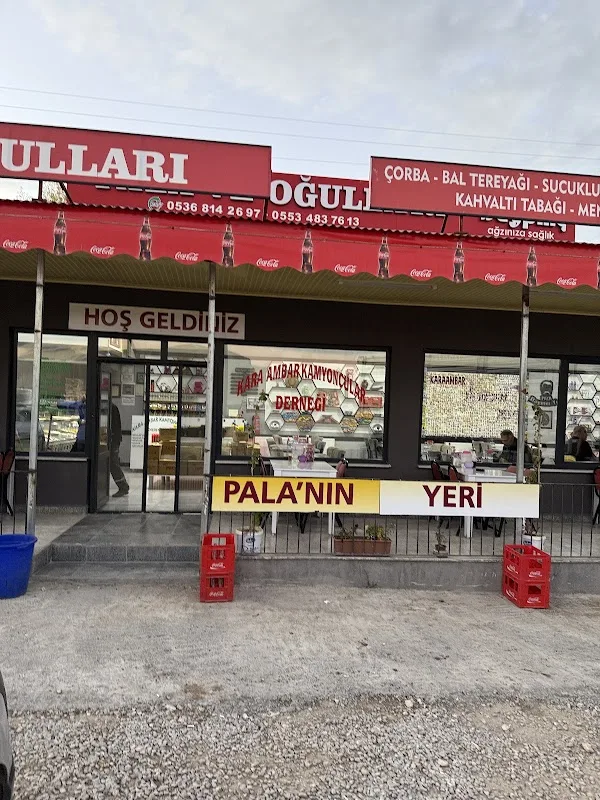 Palanın Yeri