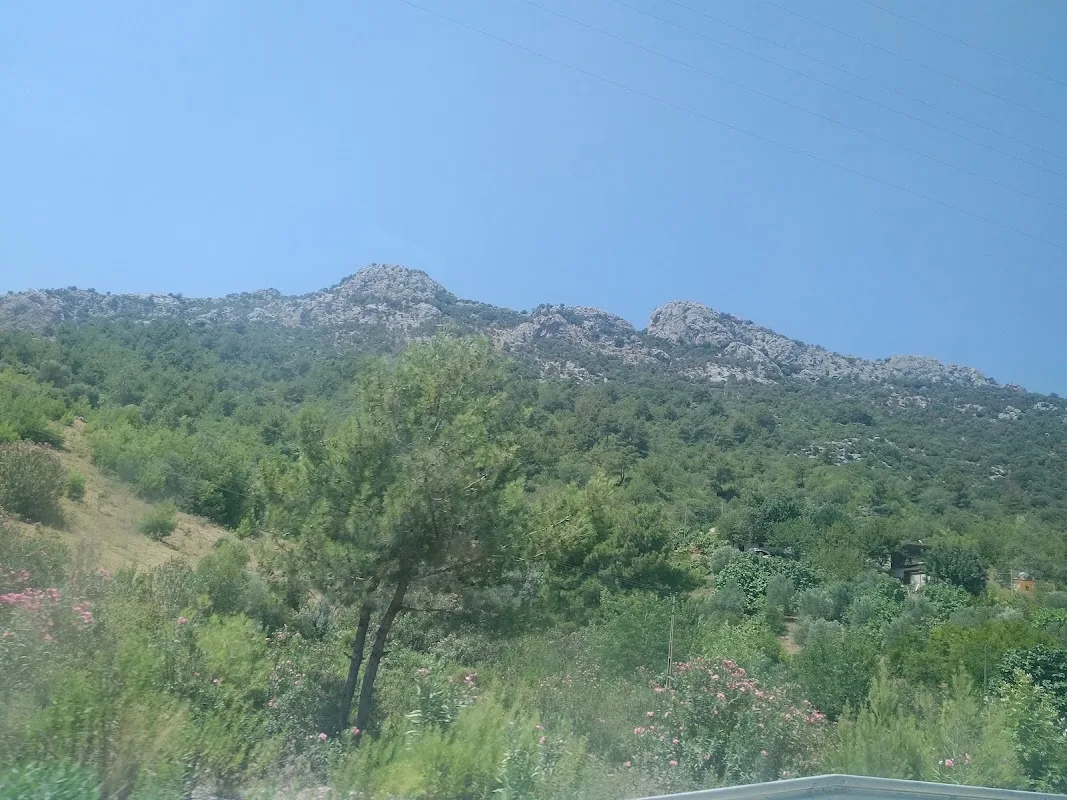 Çulluuşağı