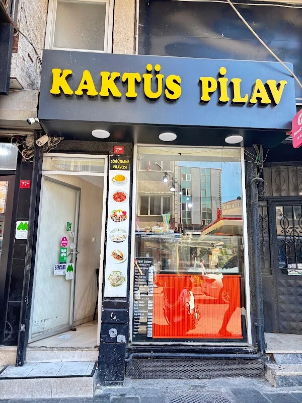 Kaktüs Pilav