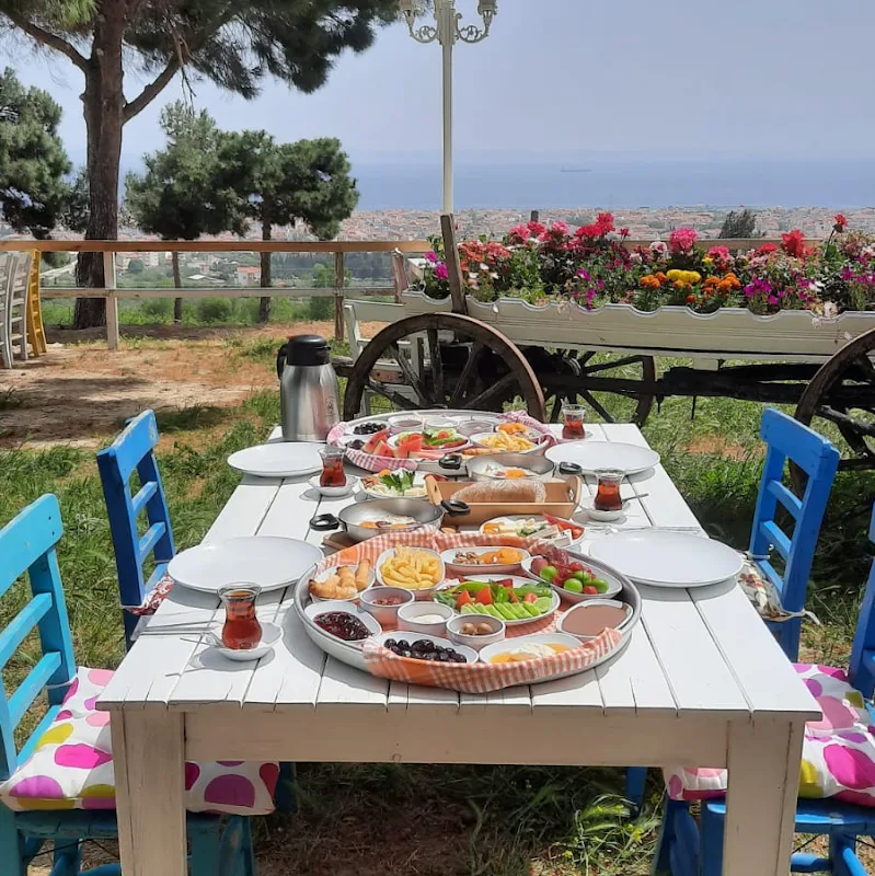 Terrace Restaurant & Cafe-Bar
