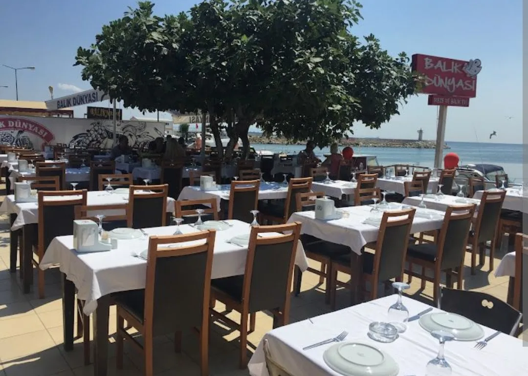 Şarköy Balık Dünyası