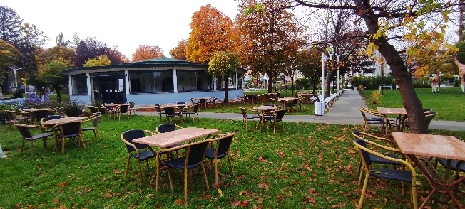 Bahçe kafe